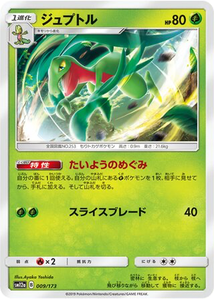 Grovyle | Dex - for TCG Collectors