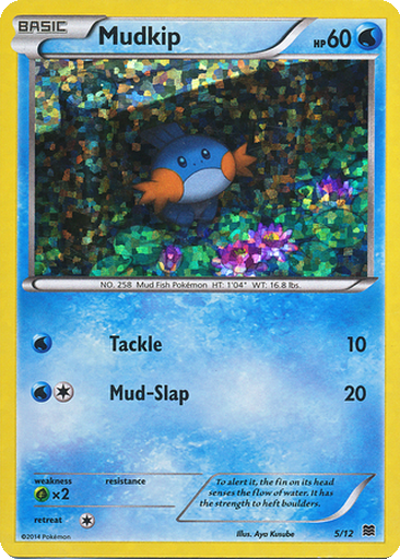Mudkip | Dex - for TCG Collectors