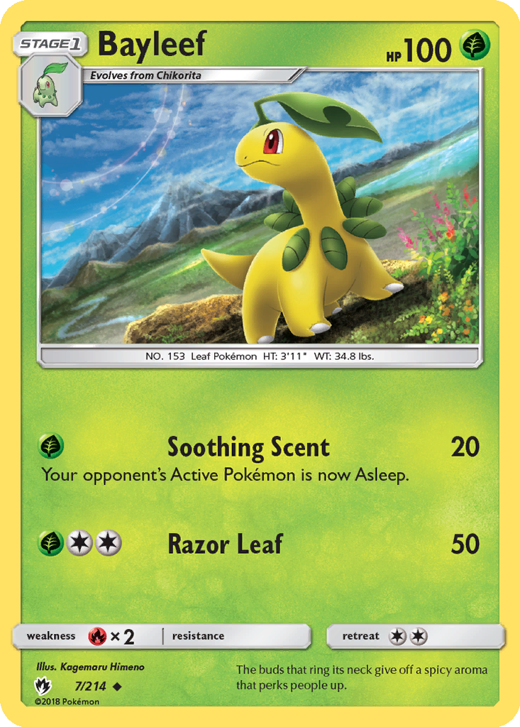 Bayleef Cards | Dex - for TCG Collectors