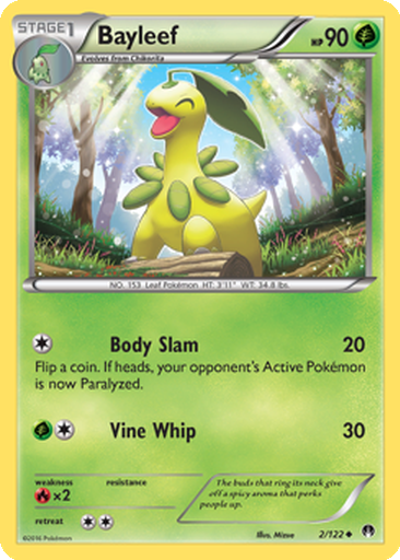 Bayleef Cards | Dex - for TCG Collectors