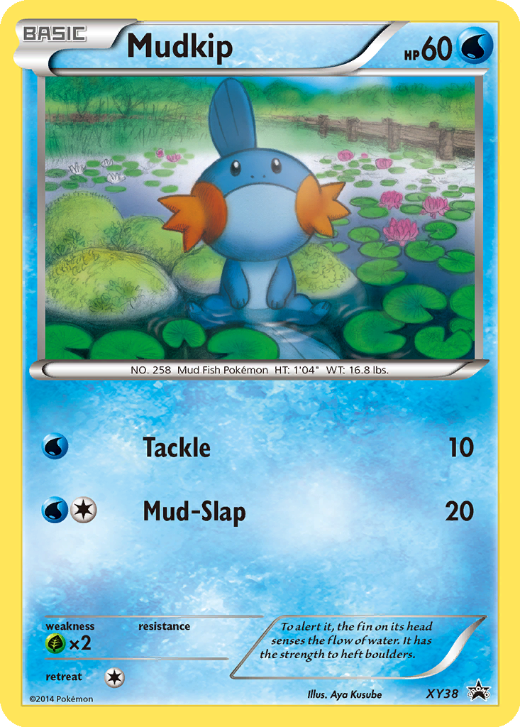 XY38.png