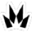 Crown Zenith symbol